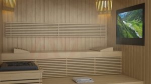 Встраиваемый телевизор AVEL для бани и сауны