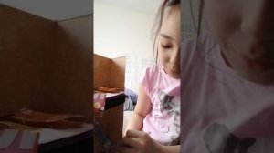 день с бумажными собаками 🐶