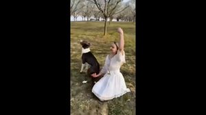 Вот такая вот она - собачья жизнь ))