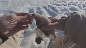 Весенняя рыбалка на карьере.