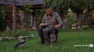 Маринование сезонных овощей.