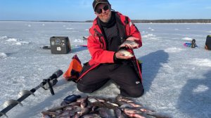 Вот это клёв! Весенняя плотва загибает кивки. Рыбалка на безнасадку на Горьковском водохранилище.