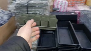 С УТРА С КУМОЙ В СВЕТОФОР, МНОГО НОВОГО.