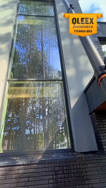 Ггусиная шея