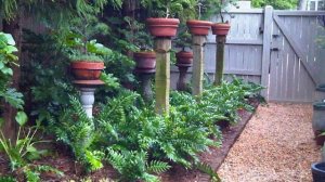 Дачные премудрости ! (19)