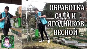 Чем обработать сад и ягодники в первую весеннюю обработку. Самый  надежный препарат.