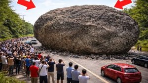 Самые невероятные моменты, когда-либо запечатленные на камеру.