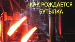 Как рождается бутылка? 🍾 Закулисье стеклотарного завода «Стеклотех» под Тюменью