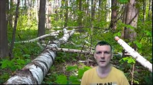 Матрица Шлюз Изобилия Чистая Удаление Всех Негативных Блокировок