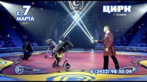 Местная реклама (Карусель (Тюмень), 26.03.2026)