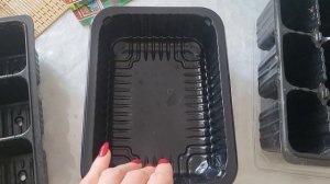 ЛЬВИНЫЙ ЗЕВ СЕЮ ТОЛЬКО ТАК!