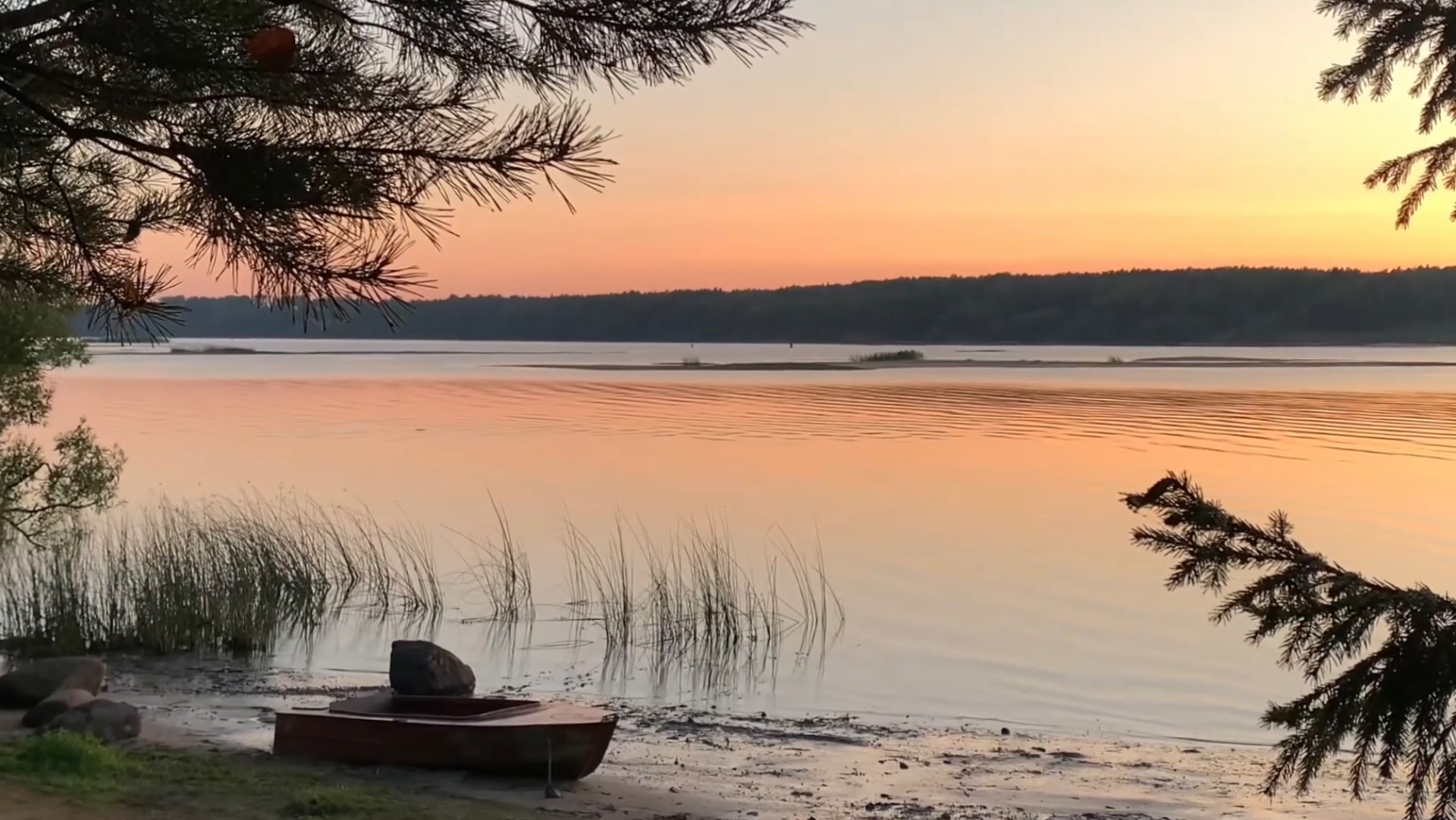 Дом на берегу Волги теплый сентябрь лес грибочки Ярославская обл 2023