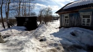 25 марта. На пасеке