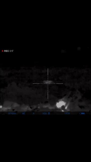 КАМЧАТКА | МЕДВЕДЬ | НОЧНОЙ ВЫСТРЕЛ