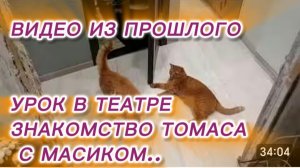 САМВЕЛ АДАМЯН, ПО ПРОСЬБАМ ЗРИТЕЛЕЙ, УРОК В ТЕАТРЕ, ЗНАКОМСТВО ТОМАСА С МАСИКОМ..