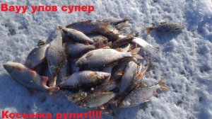 Нереально Крутой Улов Хищника на Пруду, ловлю живца на косынку. Лучшая Русская Рыбалка 2026 Онлайн