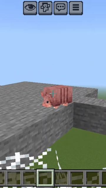 Проверяем IQ броненосца в minecraft | ДимА4 minecraft! #Shorts