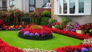 Дачные идеи ! (3)