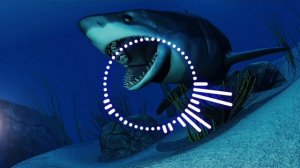 Ния - Akula (Remix by zizi)