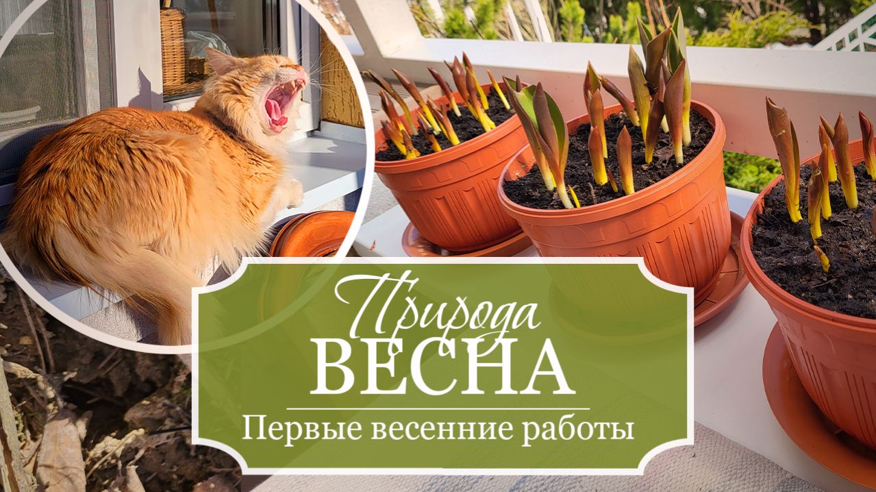 Весна — Первые весенние работы — Украшаю входную дверь — Котики — Утки — Весенняя зарисовка
