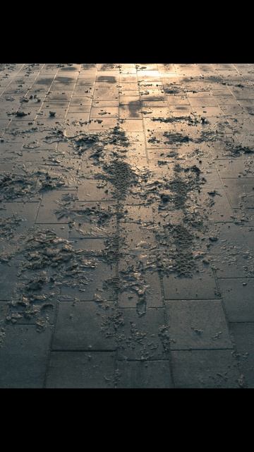 Nikon D7100 и Nikon 18-140mm, примеры. #nikon #nikond7100 #zoomlens #zoom #nikkor #crop