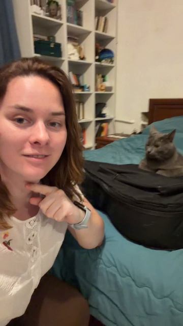 Гитарист, который в 4 утра превращается в барабанщика 🙈 #cat #кот #животные