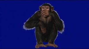 Обезьянка о 4_encoded