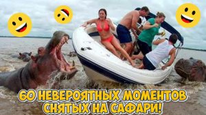 60 НЕВЕРОЯТНЫХ МОМЕНТОВ НА САФАРИ!