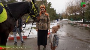 Программа ПСИХОЛОГиЯ, Эфир 25.03.2026, Тема, любовь к животным