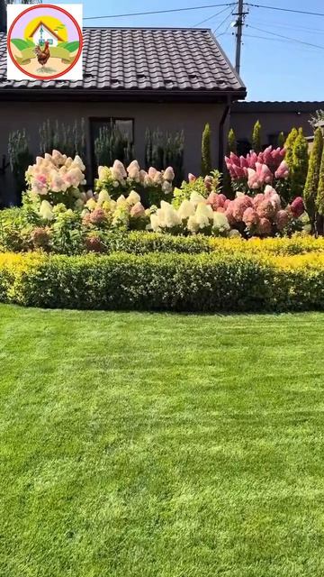 Вау, только посмотрите на эти гортензии! 😍 Просто магия какая‑то…