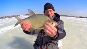 САМАЯ КРУПНАЯ РЫБА СЕЗОНА. Лещики, окуни, густера и плотва на ОЗЕРНЕ.