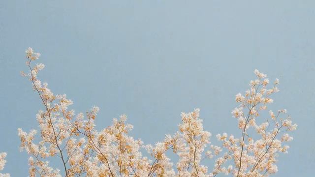 Chill House | Весеннее утро 2026 ☀️ Chill House Микс