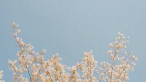 Chill House | Весеннее утро 2026 ☀️ Chill House Микс