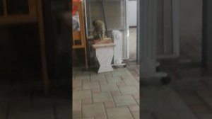 Я во дворе с Борей и Мариной!