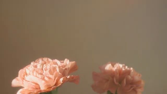 Chill House | лаунж хаус со свежей весенней атмосферой  расслабляющие ритмы  🌺