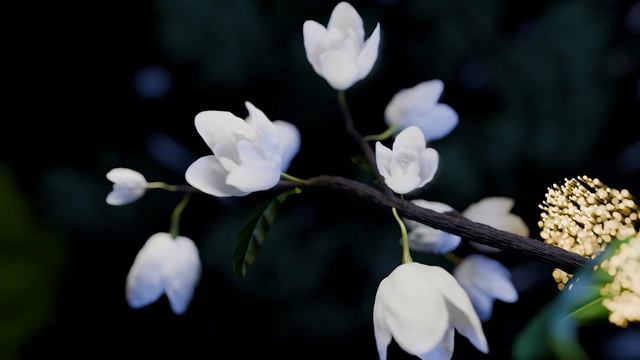 Матрица Гаряева для Женских Гормонов  Восстановления Гормонального Баланса