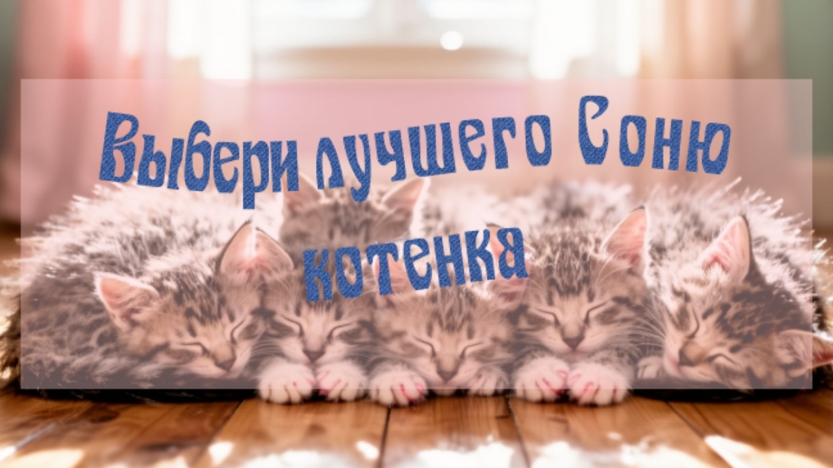 Выбери самого милого спящего котика #Спящиекотята #Котята