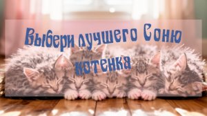 Выбери самого милого спящего котика #Спящиекотята #Котята