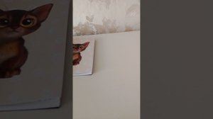 утренний влог с реборном Димой