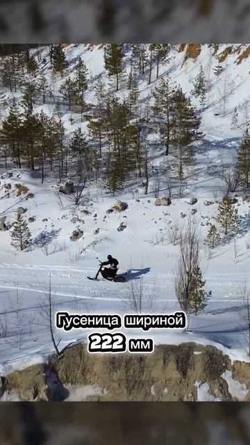 ✅Самый дальнобойный электро сноубайк!