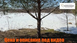 Подготовка к Просмотру - anzl.ru.