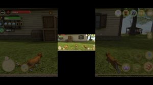 играю в симулятор кота 1 часть