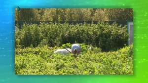 Студия 11. 24.03.2026