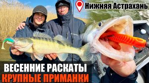 Большие ПРИМАНКИ и Весенний СУДАК | Рыбалка в Астрахани на раскатах