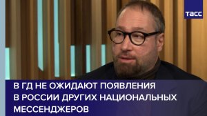 В ГД не ожидают появления в России других национальных мессенджеров