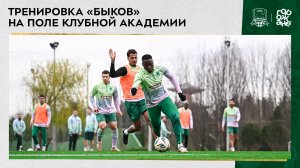 Тренировка «быков» на поле клубной Академии