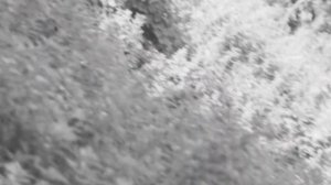 ТУРИСТЫ НА РЕКЕ