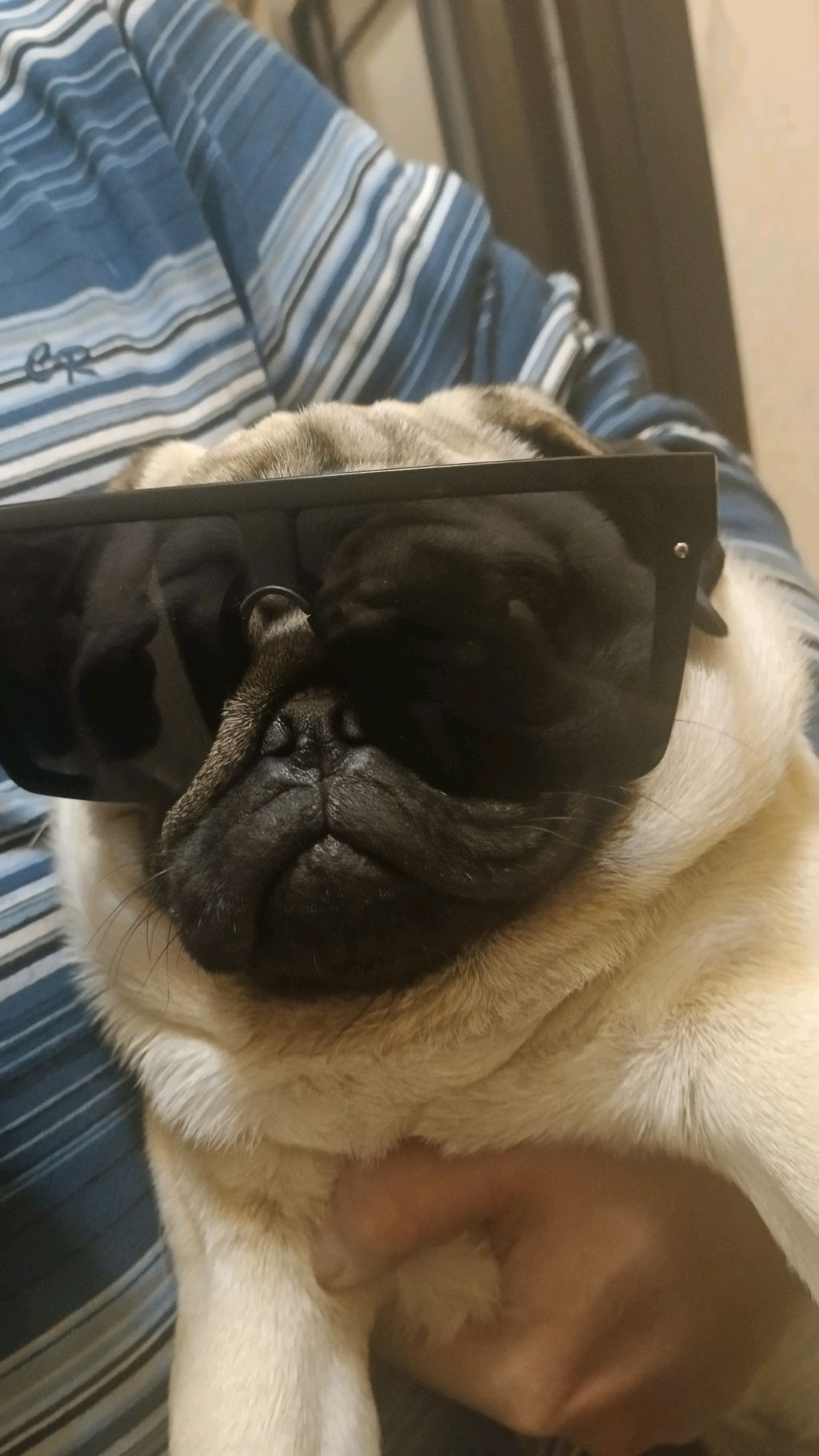 трансляция