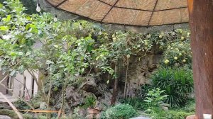 Релакс у бассейна после велопрогулки!