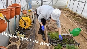 Первые дела на даче 🏡